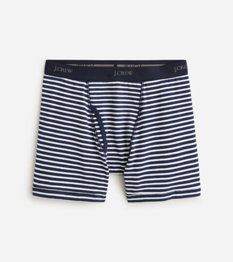 Stretch 4" Boxer Briefs In Stripe