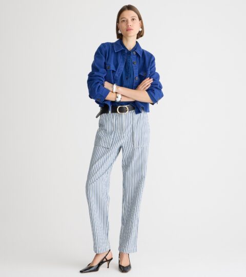 Cargo Denim Pant In Stripe