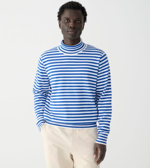 Cotton Turtleneck Sweater In Stripe