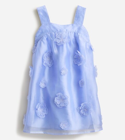 Girls’ Floral Appliqué Dress In Organza