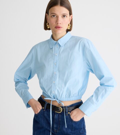 Cropped Fitted-waist Button-up Shirt In Stripe