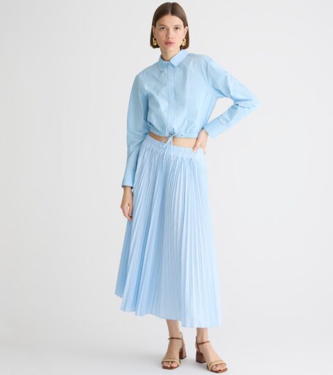 Gwyneth Pleated Skirt In Stripe